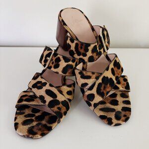 Womens J.Crew Leopord Print Shoes size 9